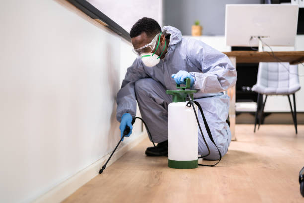 Best Fumigation Services  in Westwood, NJ